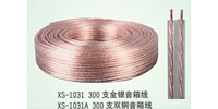 300֧y侀